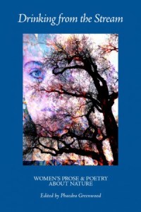 Drinking-from-the-Stream-cover